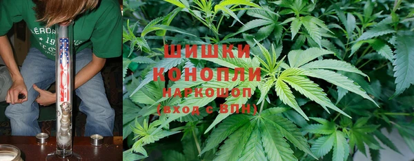 прущие грибы Снежногорск