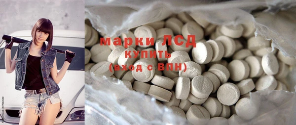прущие грибы Снежногорск