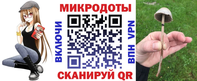 Галлюциногенные грибы мицелий  omg   Гудермес 